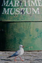 Melbourne docks.. museums for birds too! by Andrew Macleod 